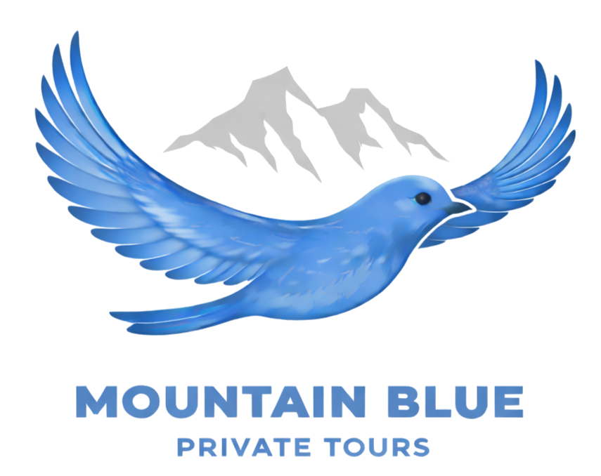 Mountain Blue private tours - bluebird logo