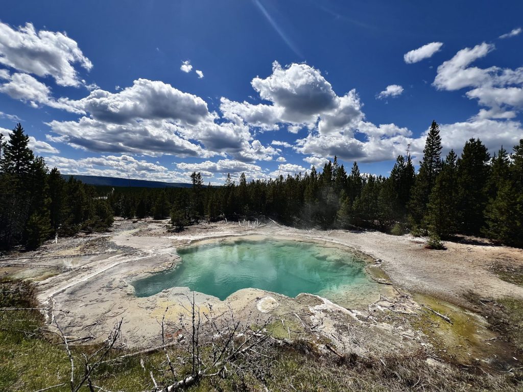 West Yellowstone Tour