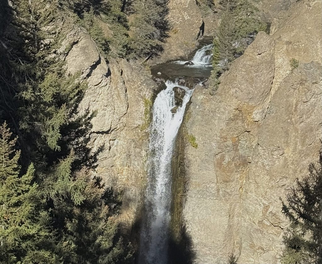 East Yellowstone Tour